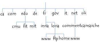 arborescence du domain name system