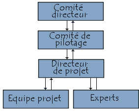 comit directeur et comit de pilotage